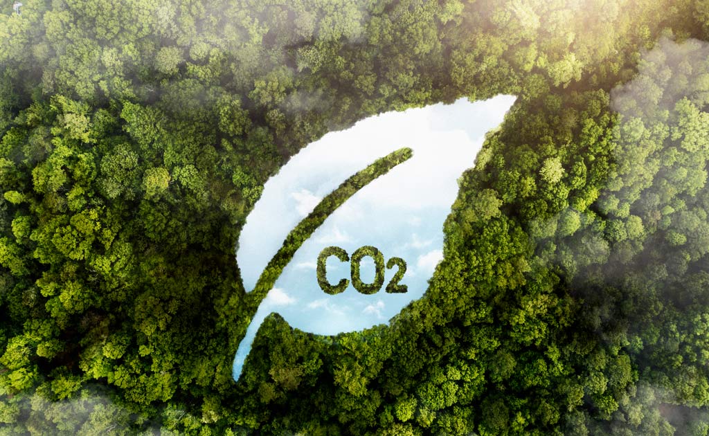 คาร์บอนเครดิต-(Carbon-Credit)-เทรนด์เพื่อสิ่งแวดล้อมและการพัฒนาที่ยั่งยืน